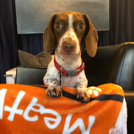 Puppy Hund Paw Skriv ut blanket Add Doggie Namn Fleecefilt