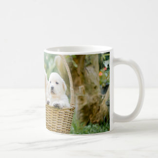 Puppy Hund Pet Hundar Kaffemugg
