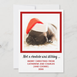 Puppy Hund Photo Pet Julkort