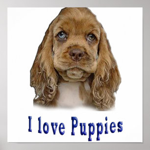 Puppy Hund Poster
