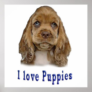 Puppy Hund Poster