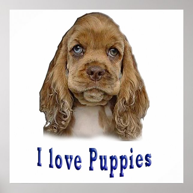 Puppy Hund Poster (Framsidan)