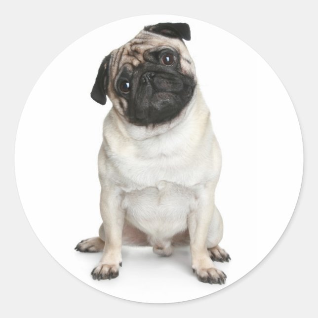 Puppy Hund-stift/etiketter Runt Klistermärke (Framsida)