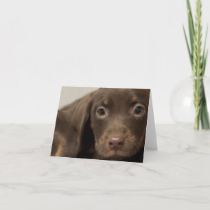 Puppy-Hund, tomt anteckningskort