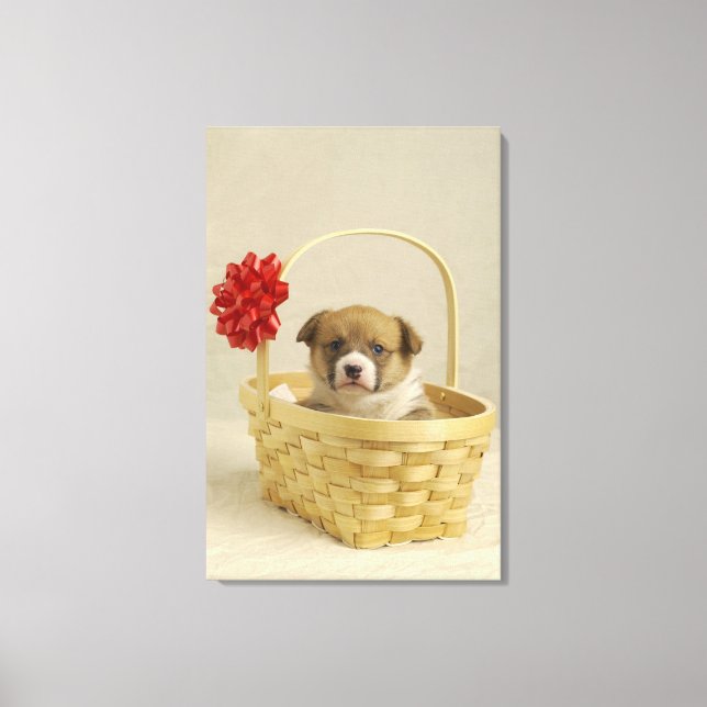 Puppy i basket canvastryck (Framsida)