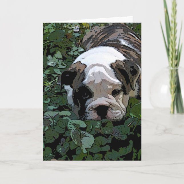 Puppy i hälsningskortet Pansies Kort (Framsida)