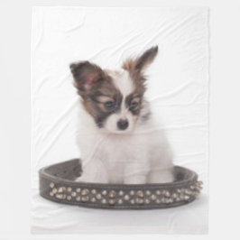 PUPPY I SPIKE COLLAR FLEECEFILT