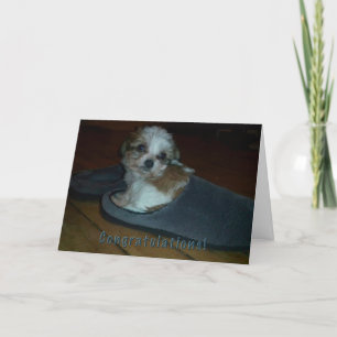 "Puppy in toffel", "grattis puppy adoption". Kort