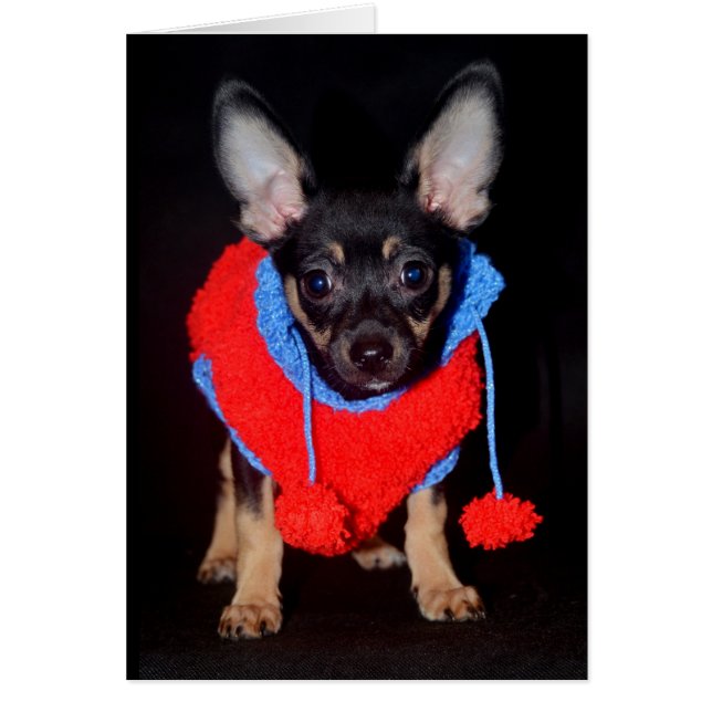 Puppy in Wooly Sweater Hälsningskort (Framsidan)