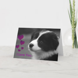 Puppy, jag kärlek dig kort