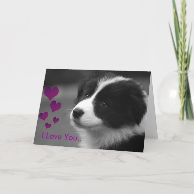 Puppy, jag kärlek dig kort (Framsida)