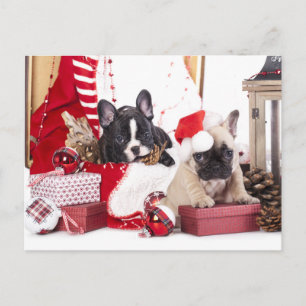 Puppy Jul Fransk Bulldog Helg Vykort