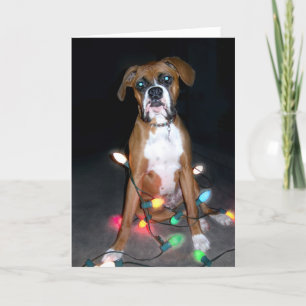 Puppy Julkort Helgkort