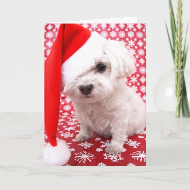 Puppy Julkort Helgkort (Framsida)