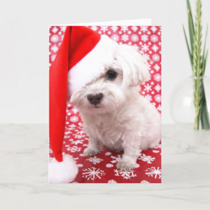 Puppy Julkort Helgkort