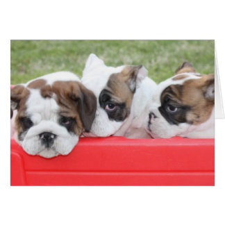 Puppy Kärlek anpassade-kort Hälsningskort