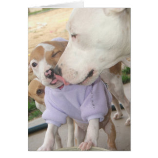 Puppy Kärlek Hälsningskort