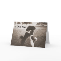 Puppy Kärlek-hälsningskort