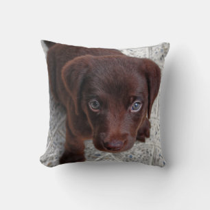 Puppy Kärlek Kudde