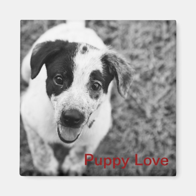 Puppy Kärlek Magnet (Framsidan)