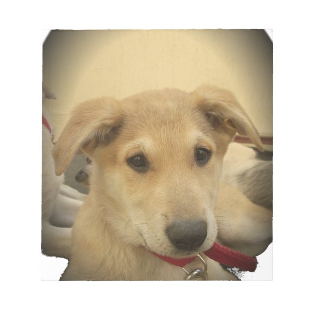 Puppy Kärlek: Människans bästa vän Anteckningsblock (Framsida)