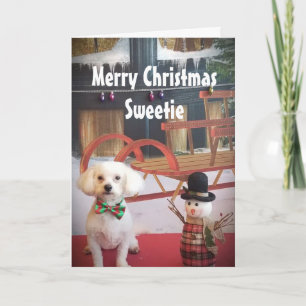 PUPPY KÄRLEK NAUGHTY ELLER NICE I CHRISTMAS HELGKORT
