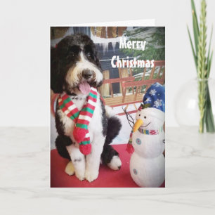 PUPPY KÄRLEK NAUGHTY ELLER NICE I CHRISTMAS HELGKORT