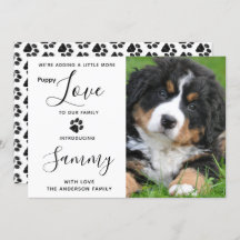 Puppy Kärlek New Pet Hund meddelande