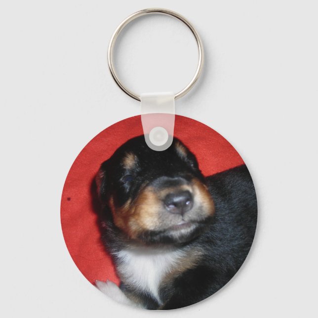 PUPPY KÄRLEK NYCKELRING (Framsida)