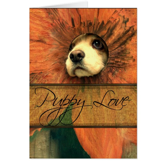 Puppy Kärlek OBS Kort (Framsidan)