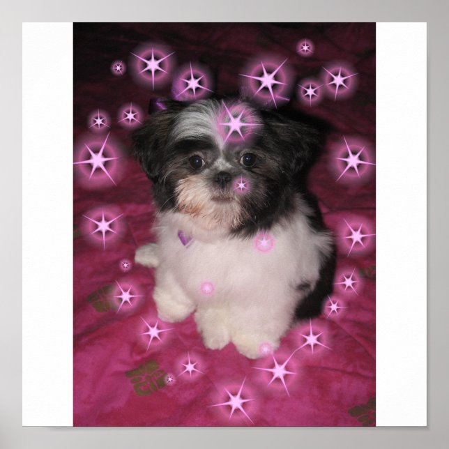 Puppy Kärlek - Poster (Framsidan)