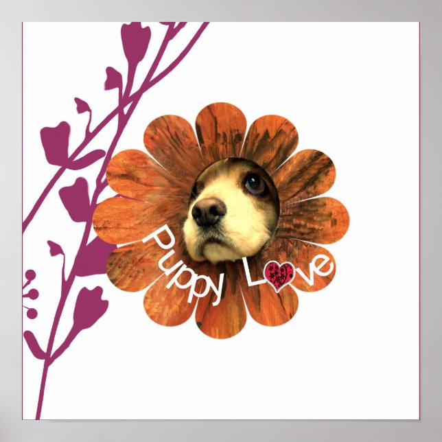 Puppy Kärlek Poster (Framsidan)