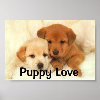 Puppy Kärlek Poster