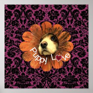 Puppy Kärlek Poster