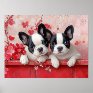 Puppy Kärlek Poster