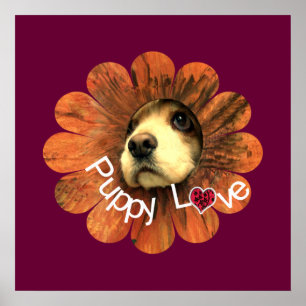 Puppy Kärlek Poster