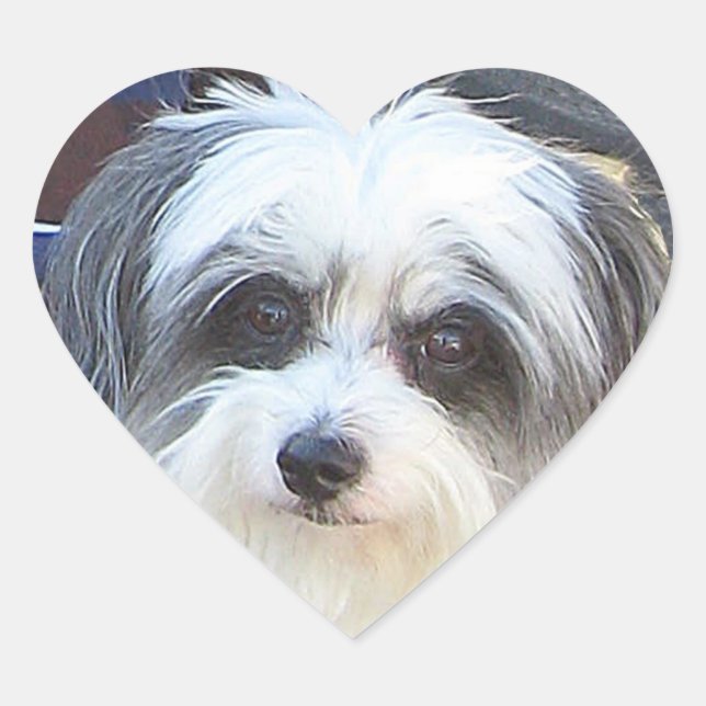 Puppy Kärlek Sticker Hjärtformat Klistermärke (Framsida)