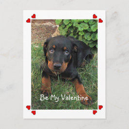 Puppy Kärlek Valentine Day Postcard Helg Vykort
