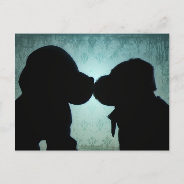 Puppy kärlek vykort (Framsida)