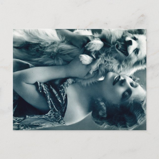 Puppy Kärlek Vykort (Framsida)