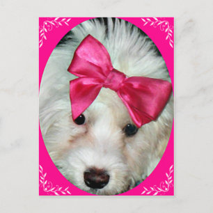 Puppy Kärlek_ Vykort