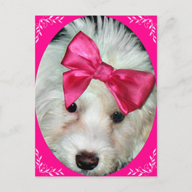 Puppy Kärlek_ Vykort (Framsida)