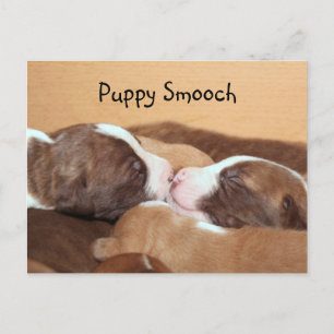 Puppy kiss vykort