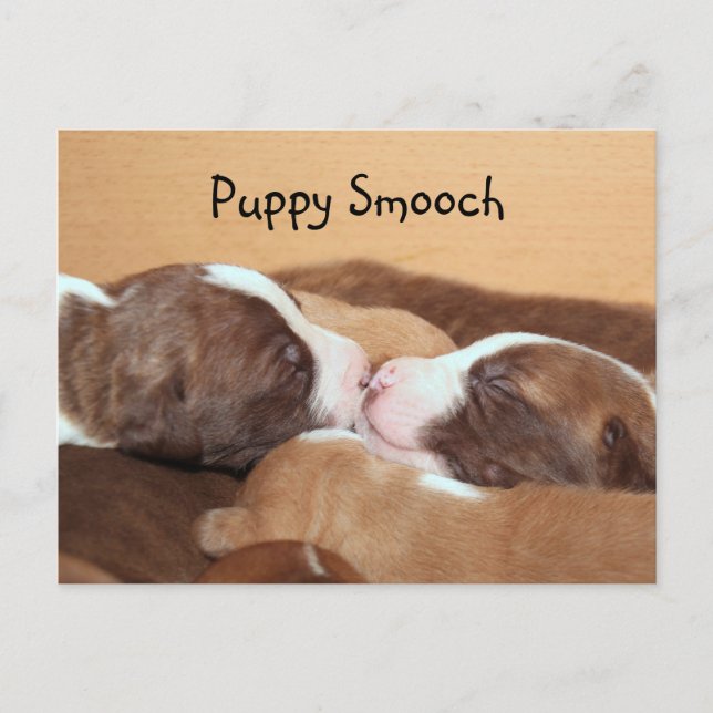 Puppy kiss vykort (Framsida)