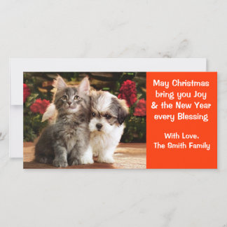 Puppy & Kitten-Helgdag Julkort