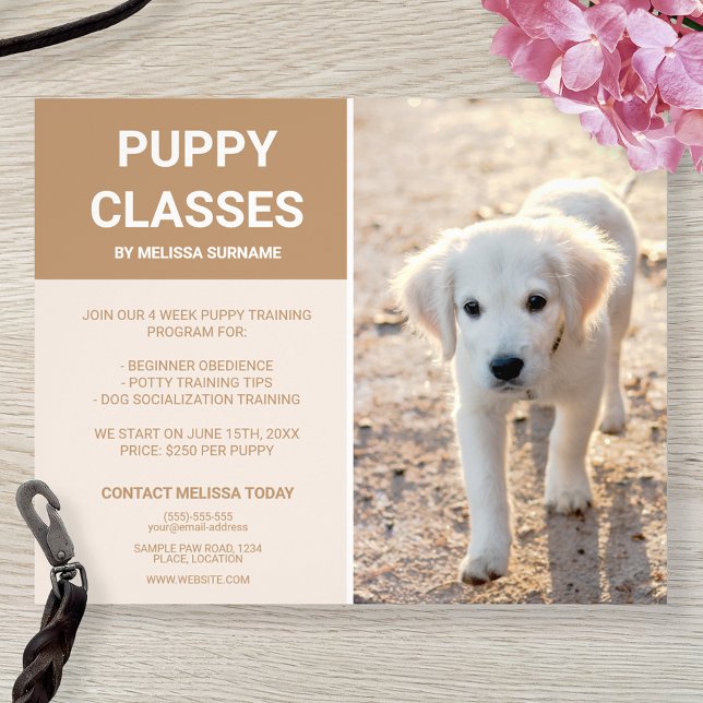 Puppy-klasser för Anpassningsbar med gyllene återg Flygblad (Skapare uppladdad)