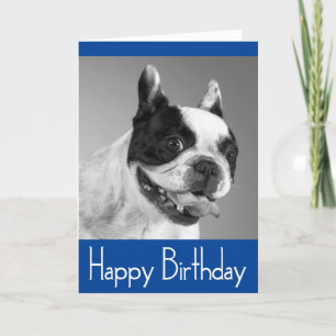 Puppy-kort för Grattis på födelsedagen Fransk - Ve Kort