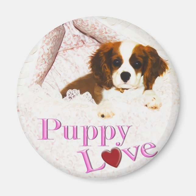 Puppy Love Cavalier King Charles Spaniel Magnet (Framsidan)
