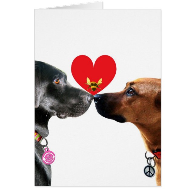 Puppy Love Valentine card Hälsningskort (Framsidan)