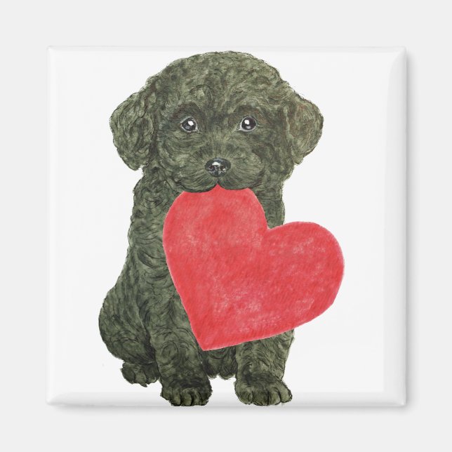 Puppy Magnet (Framsidan)